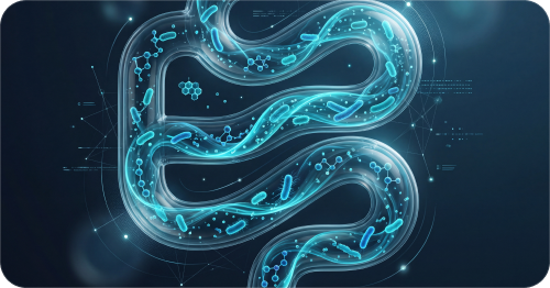 Step 1: Simulation of the gut microbiome